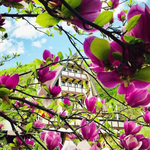 a building through the branches of a tree with flowers at Pension Casa Vanatorilor in Băile Olăneşti