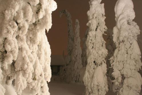 una pared cubierta de árboles nevados en Kelokoto Chalets en Ruka