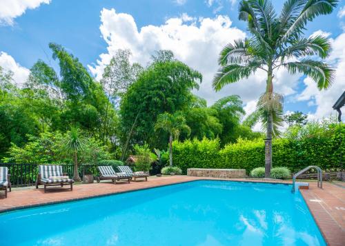 una piscina con 2 sillas y una palmera en Finca Villa Gregory en Quimbaya