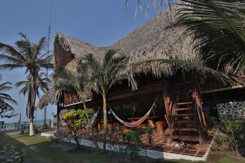 a resort with a hammock and palm trees at Praba Hostel in Palomino