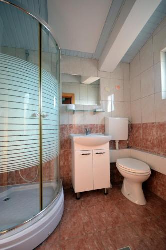 a bathroom with a sink and a toilet and a shower at Vila Tea Petrusevski in Ohrid