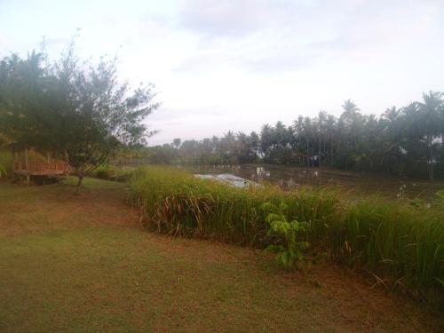 a view of a field with a river and trees at Bali Beach Eco Villas Pondok Matekap in Selemadeg