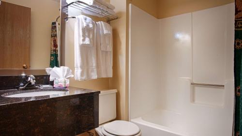 La salle de bains est pourvue de toilettes, d'un lavabo et d'une douche. dans l'établissement BEST WESTERN The Hotel Chequamegon, à Ashland