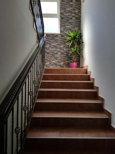 Gallery image of Villa Ante Apartments in Blace