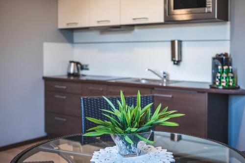 ein Glastisch mit einer Pflanze in einer Vase darauf in der Unterkunft Apartamenty Aparton in Ustka