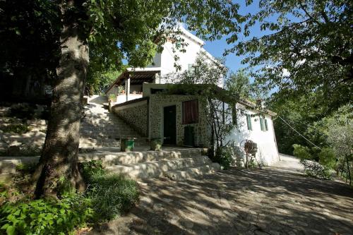 a white house with a tree in front of it at B&B Molino Del Gobbo in SantʼAgata Feltria