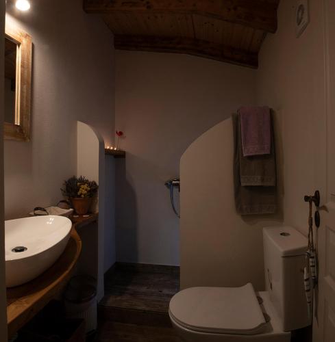 a bathroom with a white toilet and a sink at Small Guesthouse In The Garden in Amarinthos