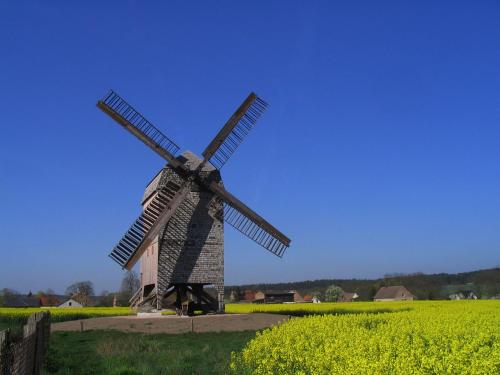 a windmill in a field of yellow rapeseed at Christel's Pension in Brandenburg an der Havel