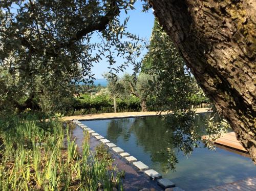 a swimming pool in a yard with a tree at Agriturismo Tenuta la Pergola in Bardolino