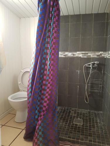 a shower curtain in a bathroom with a toilet at Le Moutardier 2 in Cilaos