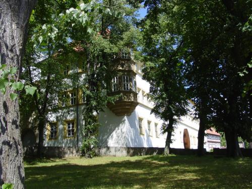 a large white building with trees in front of it at Schlosshotel am Hainich in Behringen