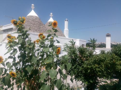 チステルニーノにあるTrullo in piena valle d'itria del 1800のギャラリーの写真