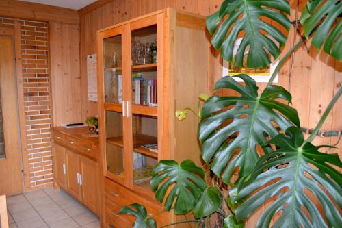 ein Zimmer mit Bücherregal und Pflanze in der Unterkunft Gästehaus Pfisterer in Bad Schallerbach