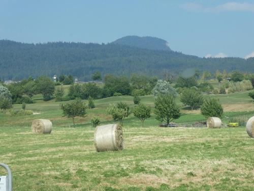 Afbeelding uit fotogalerij van Appartamento a 1000 metri in Fondo