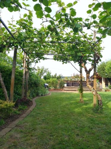 a garden with green grass and trees at Su Misura in Molini