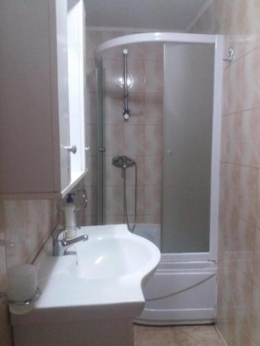 a bathroom with a shower and a sink at Erisia in Horezu