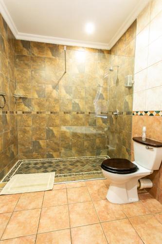 a bathroom with a toilet and a shower at Royl Court Guesthouse in Kimberley