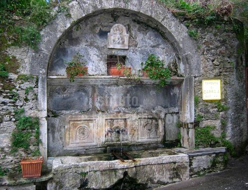 an old stone wall with some plants on it at Casa Emilia in Stazzema