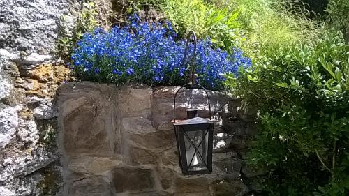 a light on a stone wall with blue flowers at Casa Emilia in Stazzema