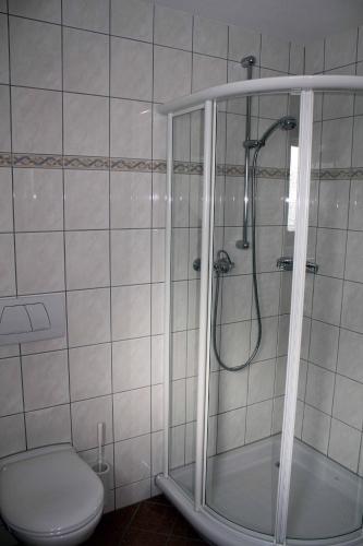 a bathroom with a shower and a toilet at Chasa Vaidum in Samnaun