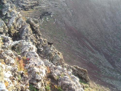 Φυσικό τοπίο κοντά σε αυτό το διαμέρισμα
