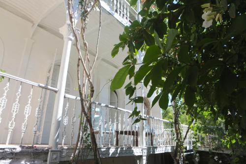 Fotografie z fotogalerie ubytování hotel florita v destinaci Jacmel