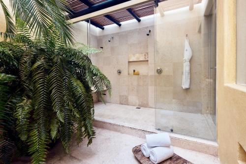 a shower stall in a bathroom with a plant at Four Seasons Resort Punta Mita in Punta Mita