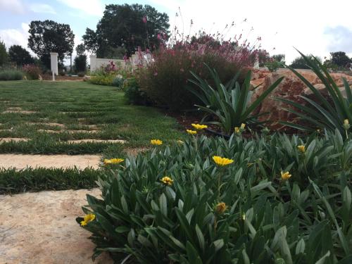 a garden with yellow flowers in a yard at Trulli IsAgo in Locorotondo