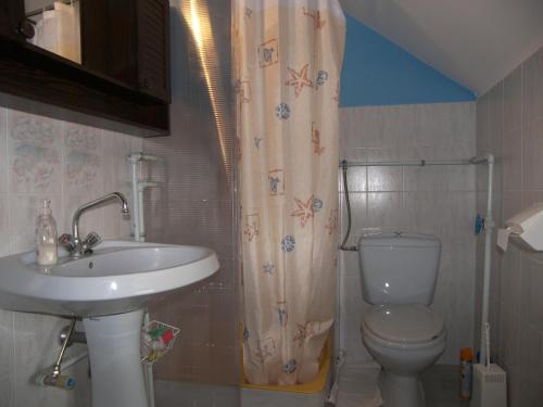 y baño con lavabo, aseo y cortina de ducha. en Csilla Nyaraló en Tiszakécske