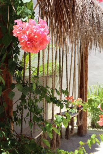 Jardín al aire libre en Tierra Mia Boutique Hotel