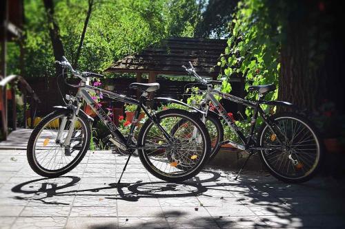 two bikes parked next to each other on a sidewalk at Veniki-Club in Vorzel