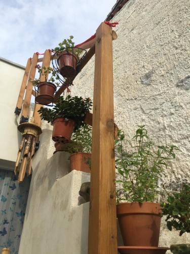 a group of potted plants on the side of a building at Casa Escape in Terrasini