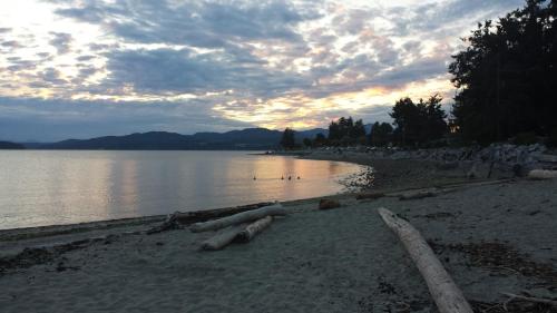 a beach with a body of water and trees at Davis Bay Bed & Breakfast in Sechelt