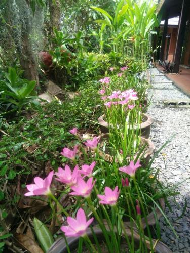 สวนหย่อมนอก Rim Than View Resort