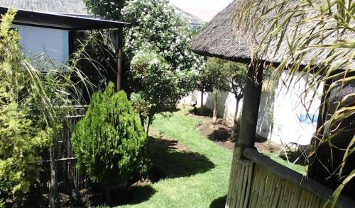 a garden with a fence and a house with grass at Authentic Bicycle Tours and Backpackers in Soweto