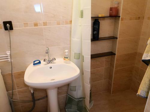 a bathroom with a white sink and a shower at Nagymama Házikója in Tiszasas