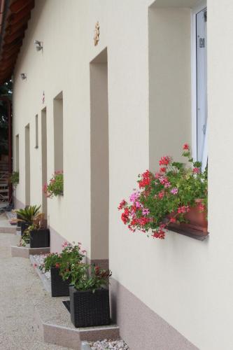 a row of potted plants on the side of a building at Rivendell Apartments in Prague