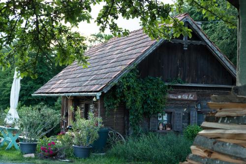 une vieille maison avec des plantes devant elle dans l'établissement Petite Noel, à Güssing