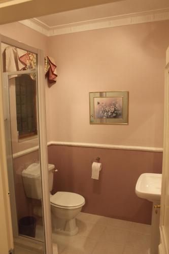 a bathroom with a toilet and a sink at Le Residence de Josephine in Kloof