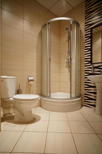 a bathroom with a shower and a toilet and a sink at Noclegi w Lublińcu Lubex in Lubliniec