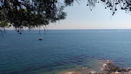 a boat in the middle of a large body of water at La Strelitzia Cervo Mare in Cervo
