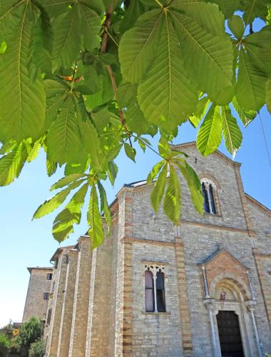 Villa Profidia – Photos 3