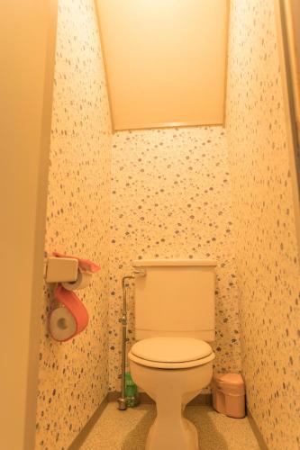 a bathroom with a white toilet in a room at Nikko Park Lodge Mountain Side in Nikko