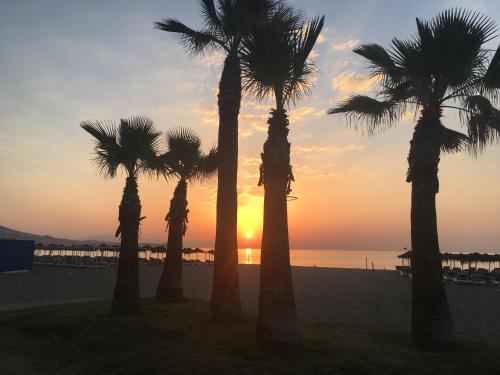a group of palm trees on the beach at sunset at Apartment with private patio in Fuengirola