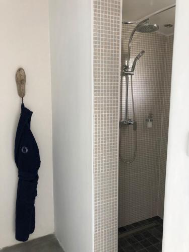 une salle de bain avec une douche avec pommeau de douche dans l'établissement La Suite Nolyvan, à Saint-Malo