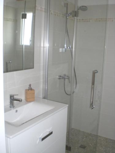 y baño con lavabo y ducha. en La Saligotiere, en Longeville-sur-Mer