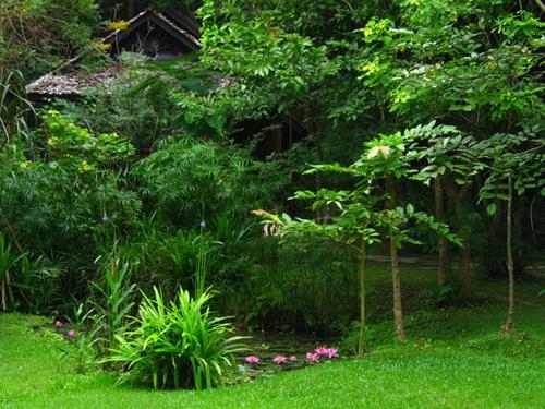 Zahrada ubytování Fern Resort Mae Hong Son