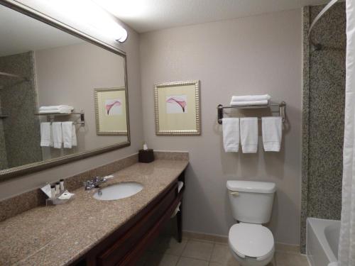 a bathroom with a sink and a toilet and a mirror at Country Inn & Suites by Radisson, Pensacola West, FL in Pensacola