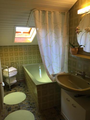 uma casa de banho com uma banheira, um lavatório e uma cortina de chuveiro em Gästehaus Grieser em Hopferau