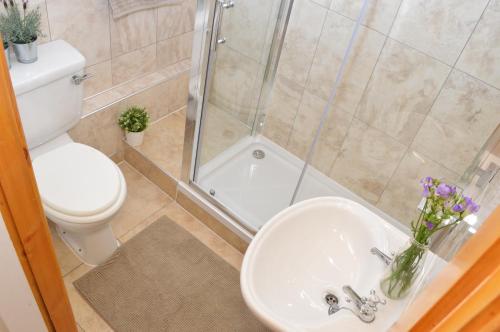 a bathroom with a shower and a toilet and a sink at Flat 14c Bayhead in Stornoway